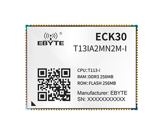 ECK30-T13IA2MN2M-I